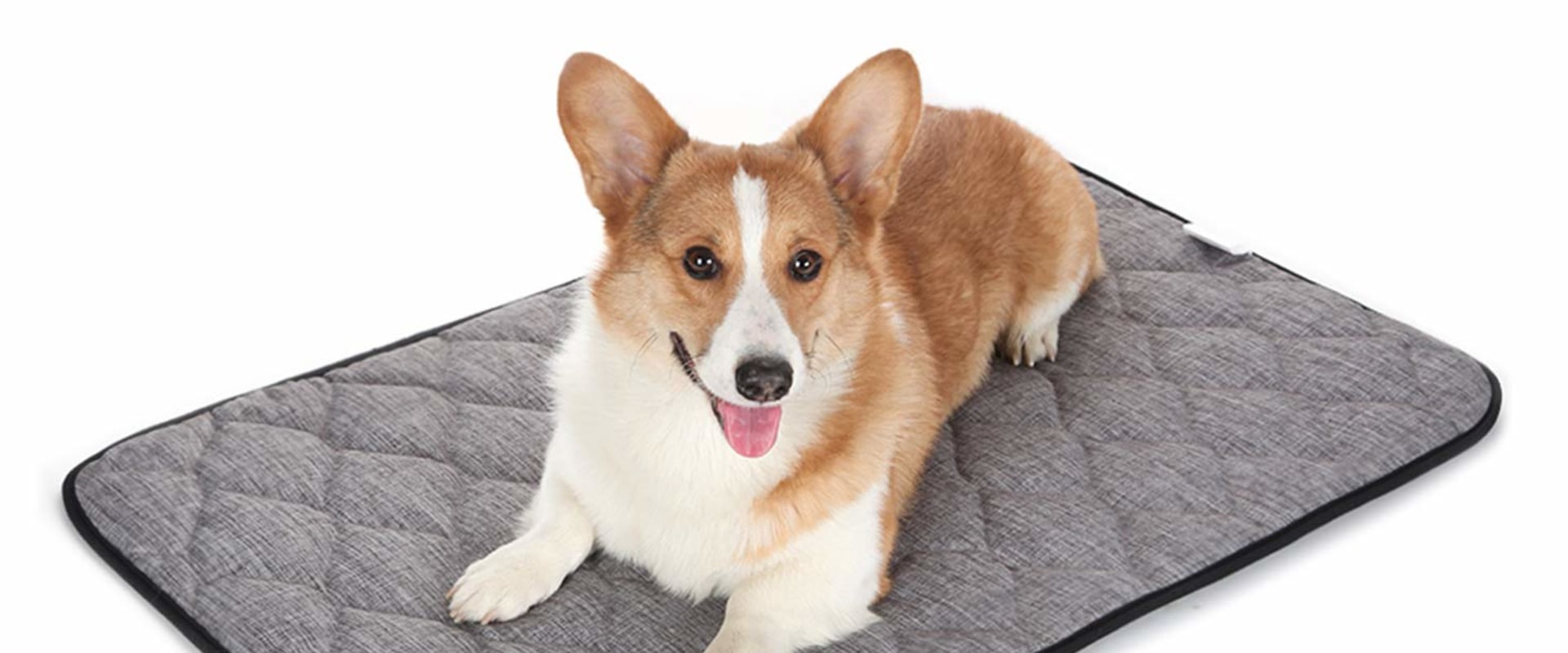 How Thick is the Padding in an Orthopedic Pet Bed?