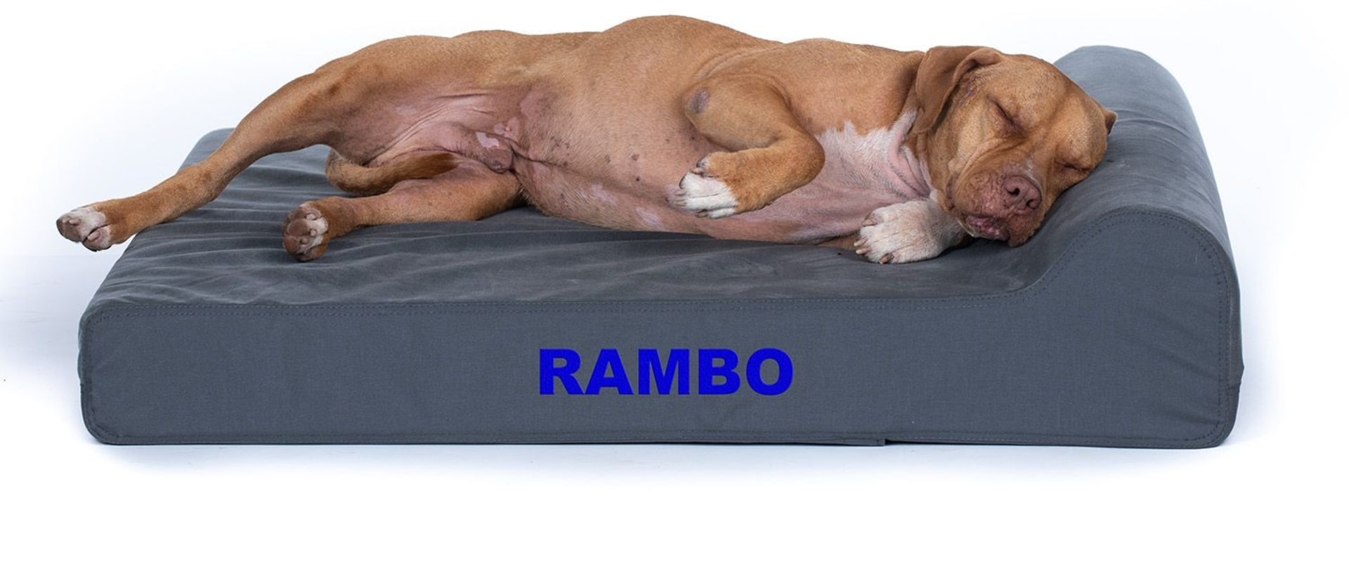 What are the Benefits of Orthopedic Dog Beds?