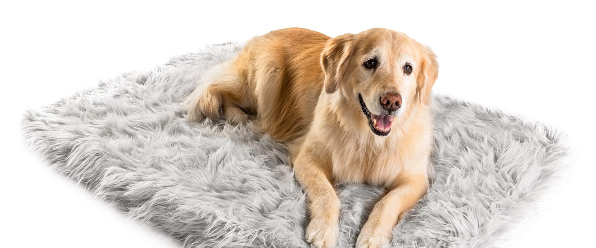 The Best Orthopedic Dog Beds for Your Furry Friend