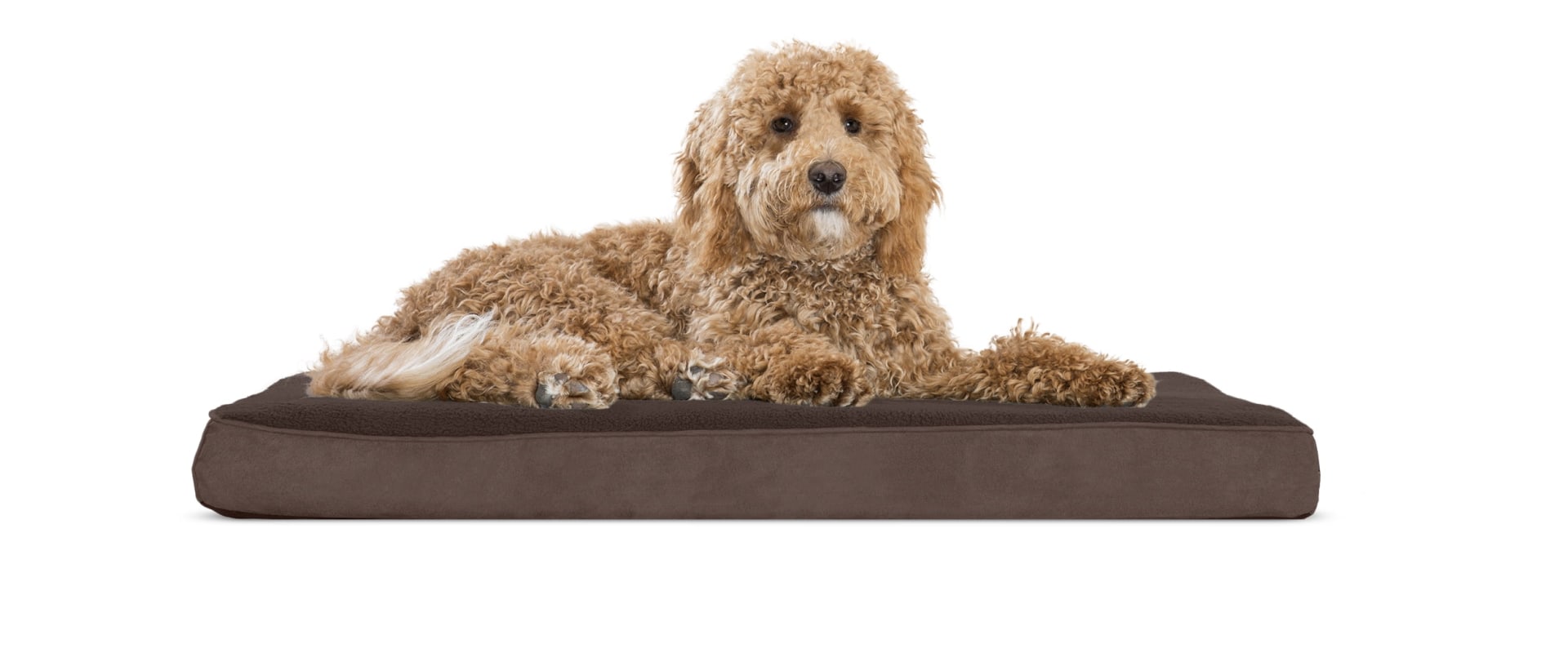 Can Orthopedic Pet Beds Help with Joint Pain in Pets?