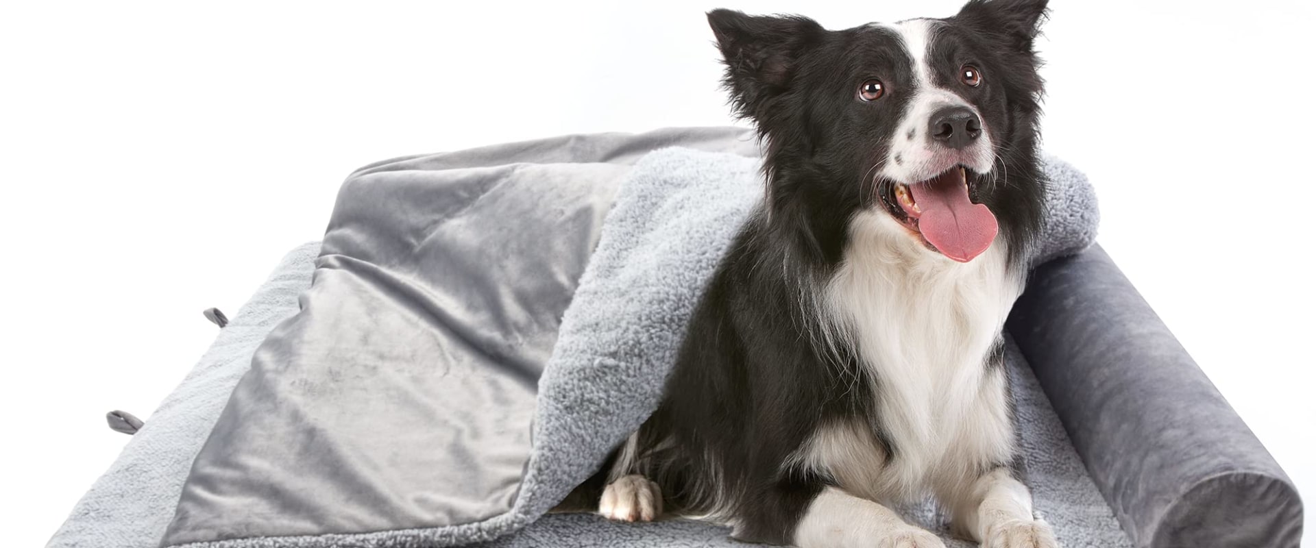 The Benefits of an Orthopedic Bed for Dogs