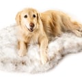 Are Orthopedic Dog Beds Good for Your Furry Friend?