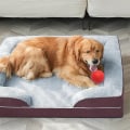 The Benefits of an Orthopedic Dog Bed