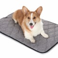 How Thick is the Padding in an Orthopedic Pet Bed?