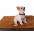 What Materials are Used to Make Orthopedic Pet Beds?