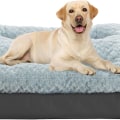 The Ultimate Guide to Buying an Orthopedic Pet Bed
