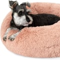 The Ultimate Guide to Pet Calming Beds