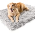 What Additional Accessories Can You Buy for an Orthopedic Pet Bed?