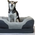 Are There Any Age Restrictions for Using an Orthopedic Pet Bed?