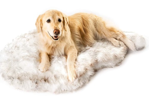 Are Orthopedic Dog Beds Good for Your Furry Friend?