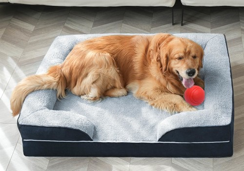 Are Orthopedic Dog Beds Worth It?