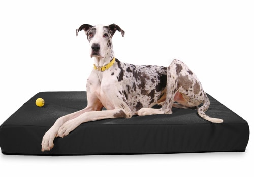 Are Orthopedic Pet Beds Recommended for Older Pets?
