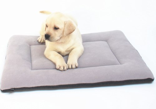 Can Orthopedic Pet Beds be Used in Crates or Carriers?