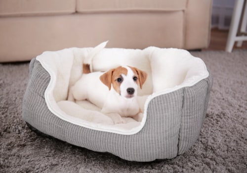 Are Orthopedic Pet Beds Easy to Clean?