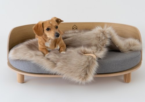The Benefits of Orthopedic Pet Beds
