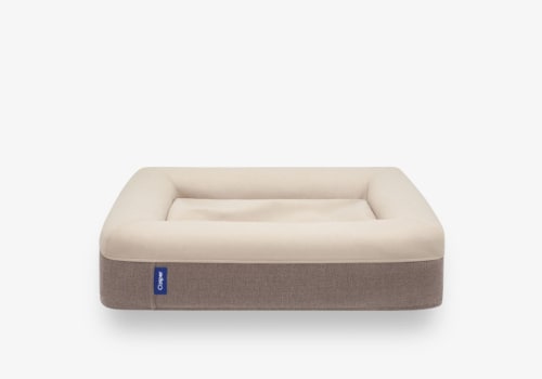 How Orthopedic Pet Beds Differ from Regular Pet Beds