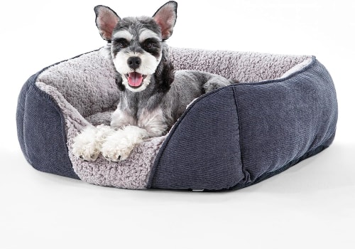 How Long Does an Orthopedic Pet Bed Last?