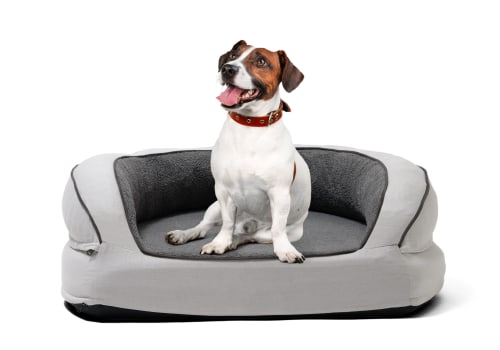 Do Orthopedic Pet Beds Come With a Warranty?
