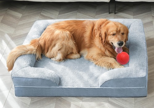 Do orthopedic dog beds make a difference?