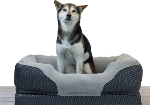 Are There Any Age Restrictions for Using an Orthopedic Pet Bed?